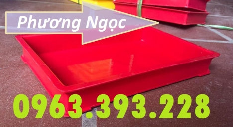 Khay nhựa đựng linh kiện, khay kích thước 300 x 208 x 42 mm, khay nhựa BL006