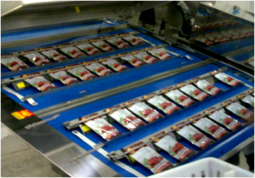 Máy hút chân không băng tải Nishihara AVP 6510 chính hãng