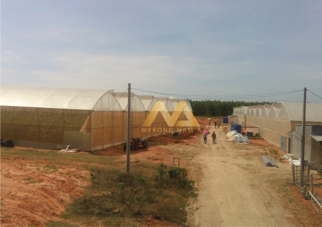 Bán đất Bình Thuận ven biển giá rẻ - Cần bán gấp 50k/m2 sổ ỏ chính chủ rõ ràng