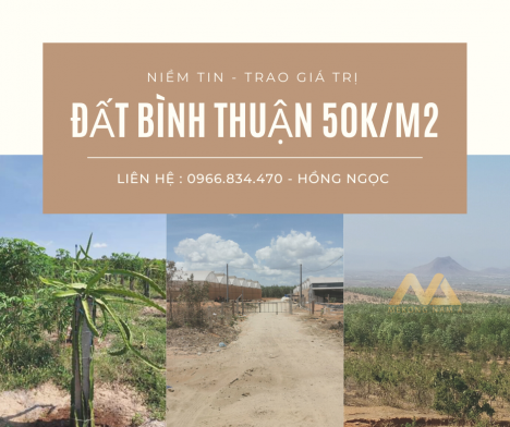 Bán đất Bình Thuận ven biển giá rẻ - Cơ hội lớn cho nhà đầu tư 50K/M2 pháp lý rõ ràng
