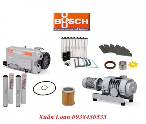 Phụ tùng bơm chân không Busch chính hãng, giá rẻ