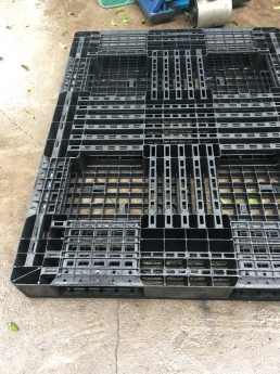 Pallet nhựa chuyên dùng cho xuất khẩu và lưu kho