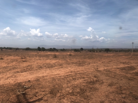cần bán gấp đất vườn du lịch Bình Thuận, sát bên khu du lịch Safari 3300ha