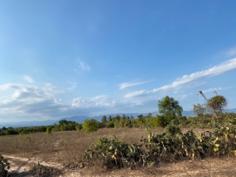cần bán gấp đất vườn du lịch Bình Thuận, sát bên khu du lịch Safari 3300ha