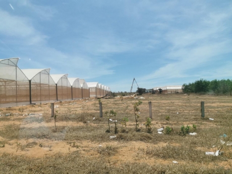 MUA BÁN ĐẤT NÔNG NGHIỆP 10000 M2 TẠI HUYỆN BẮC BÌNH giá bằng 1 tô phở 50k/1m2