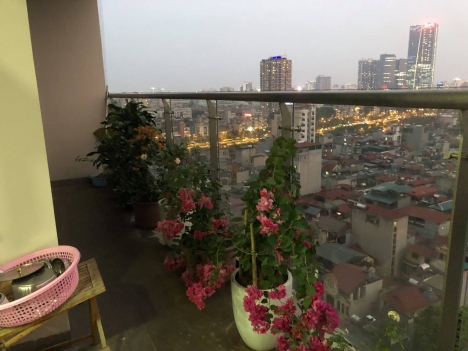cho thuê một số căn hộ cao cấp tòa chung cư tràng an complex,cầu giấyHà Nội
