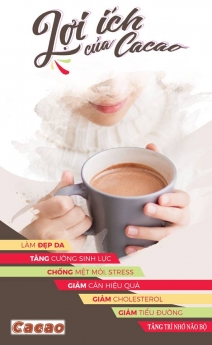 COCOA POWDER 100% Natural