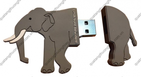 Brandde chuyên cung cấp usb tạo hình theo yêu cầu