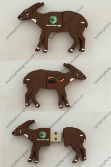 Brandde chuyên cung cấp usb tạo hình theo yêu cầu