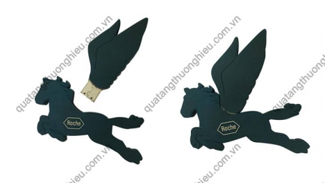 Brandde chuyên cung cấp usb tạo hình theo yêu cầu