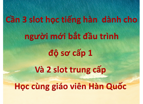 Cần 3 slot học tiếng hàn  dành cho  người mới bắt đầu trình  độ sơ cấp 1  Và 2 slot trung cấp