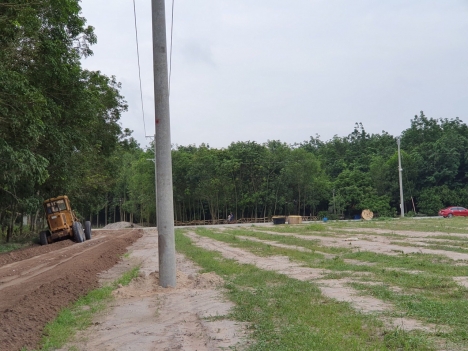 Tôi có sào đất 1000m2 ngay mặt tiền đường nhựa 12m nay cần tiền tôi bán 300tr