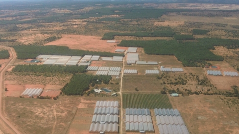 BÁN ĐẤT NÔNG NGHIỆP 10000 M2 TẠI HUYỆN BẮC BÌNH, TỈNH BÌNH THUẬN..
