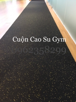 thảm cao su sàn gym