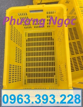 Sọt nhựa rỗng HS011, sọt nhựa có quai sắt, sọt nhựa đựng trái cây