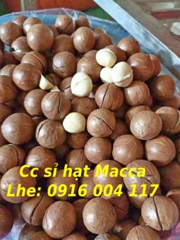 Cc hạt Macca giá sỉ giao toàn quốc Lhe 0916004117