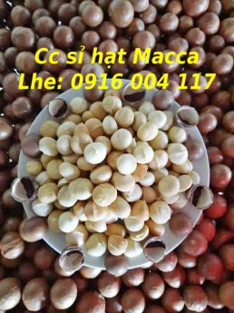 Cc sỉ lẻ hạt Macca giao hàng toàn quốc Lhe 0916004117