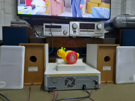 Dàn mini Sony E300HD- đẹp mỹ miều