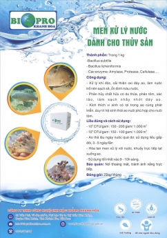 Lợi ích của việc sử dụng men vi sinh đơn dòng nguyên liệu Biopro Khánh Hòa