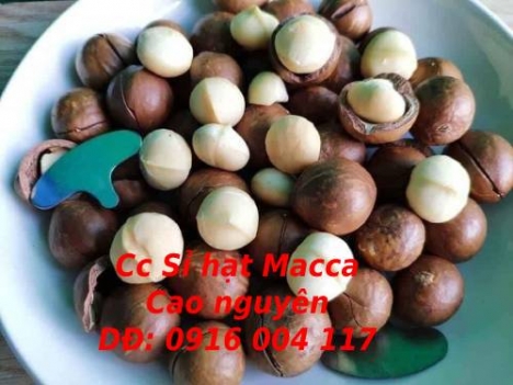 Cc sỉ hạt Macca giá rẻ giao toàn quốc Lhe 0916004117
