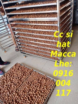 Cc sỉ hạt Macca giá rẻ giao toàn quốc Lhe 0916004117