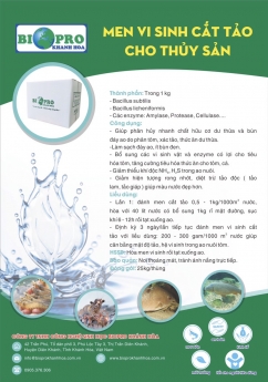 Lợi ích của việc sử dụng men vi sinh đơn dòng nguyên liệu Biopro Khánh Hòa
