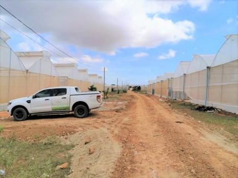 bán đất  vàng bình thuận đã có sổ đỏ pháp lý rõ ràng tìm năng sinh lời lớn