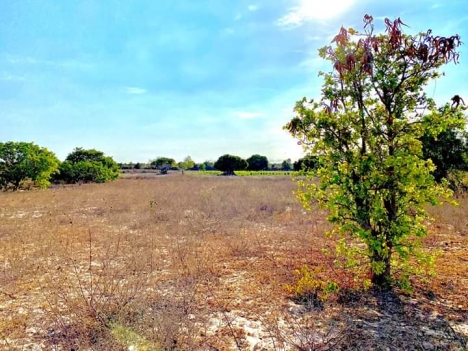 bán đất  vàng bình thuận đã có sổ đỏ pháp lý rõ ràng tìm năng sinh lời lớn