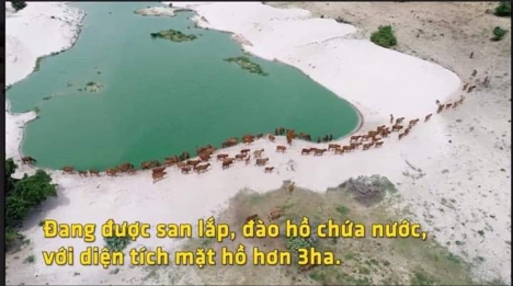 Nam Á Garden đất vàng du lịch