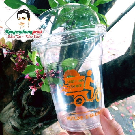 In ly nhựa Gia Lai