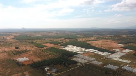 Cty NAM Á GARDEN, BÁN ĐẤT NÔNG NGHIỆP LỢI NHUẬN CAO TẠI HUYỆN BẮC BÌNH, TỈNH BÌNH THUẬN