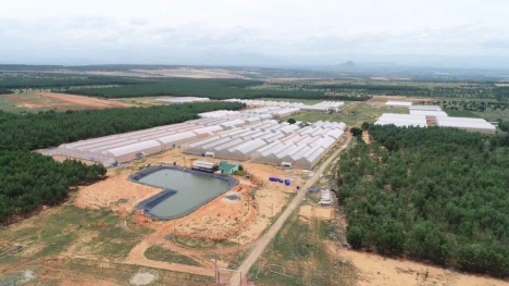 Cty NAM Á GARDEN, BÁN ĐẤT NÔNG NGHIỆP LỢI NHUẬN CAO TẠI HUYỆN BẮC BÌNH, TỈNH BÌNH THUẬN