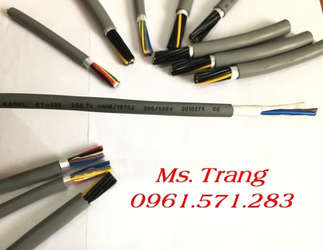 Dây điều khiển, dây tín hiệu 2 lõi có chống nhiễu