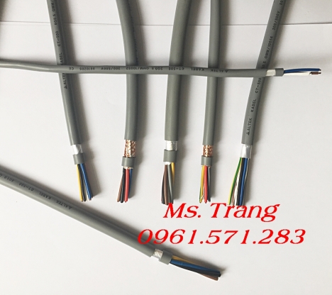 Dây điều khiển, dây tín hiệu 2 lõi có chống nhiễu