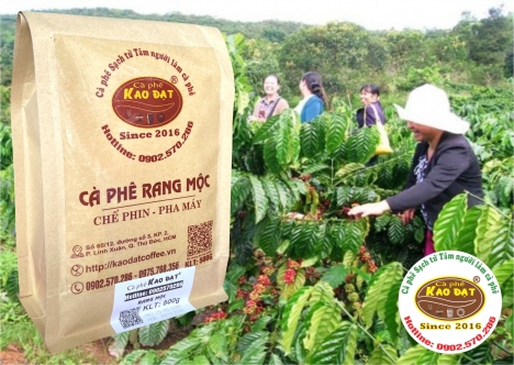 Cà phê Kao Đạt chuyên sỉ lẻ các loại cà phê