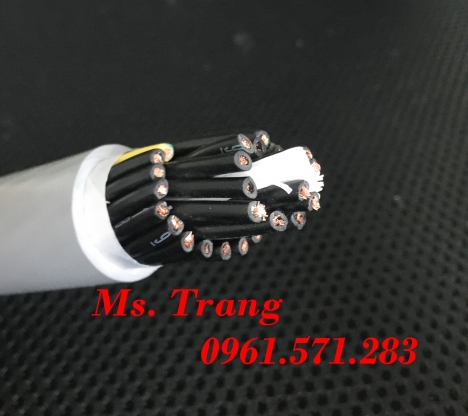 Nhà phân phối cáp điều khiển 20 lõi Altek Kabel chính hãng
