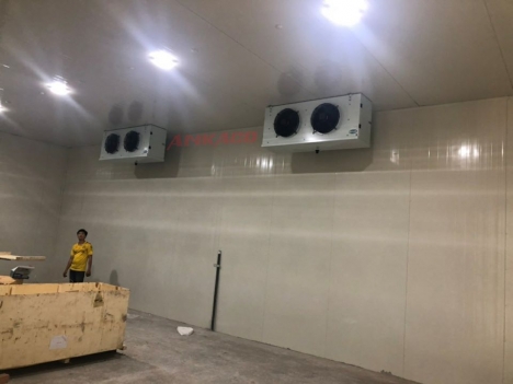 Lắp Đặt Kho Lạnh-Bảo Quản Sầu Riêng Tại Tiền Giang