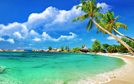 Xe bus đi Bà Nà - Các phương tiện đi tour Bà Nà 