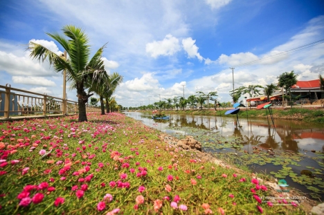 Đất nền giá rẻ