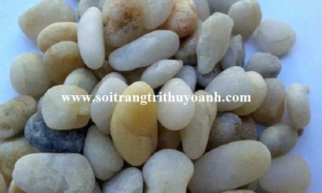 Sỏi trang trí