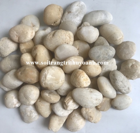 Sỏi trang trí tiểu cảnh sân vườn