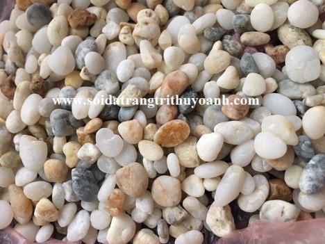 Sỏi trang trí tiểu cảnh sân vườn