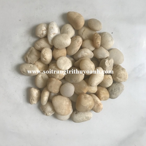 Sỏi trang trí tiểu cảnh sân vườn