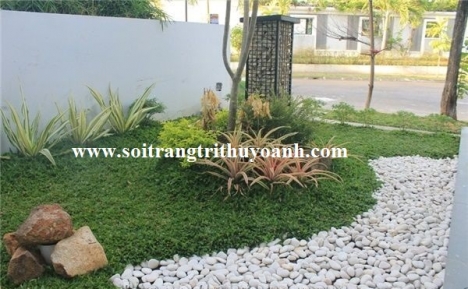Sỏi trang trí tiểu cảnh sân vườn