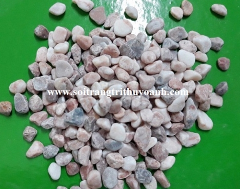 Sỏi trang trí tiểu cảnh sân vườn