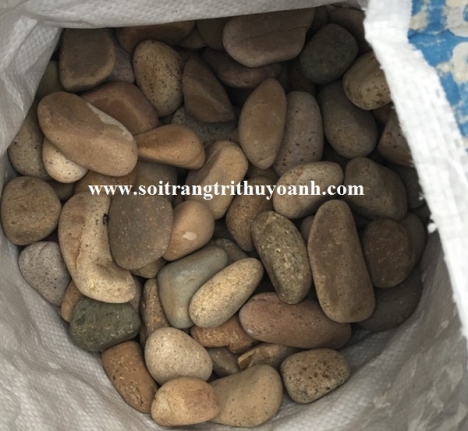 Sỏi trang trí tiểu cảnh sân vườn