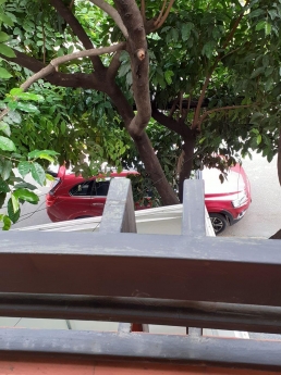 Văn phòng công ty xinh xắn y như hình