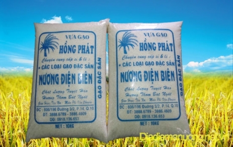 Cung Cấp Gạo Sạch TPHCM