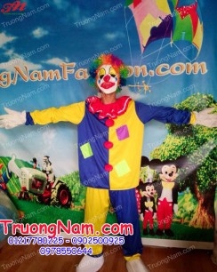 TRANG PHỤC CHÚ HỀ, TRANG PHỤC BIỂU DIỄN