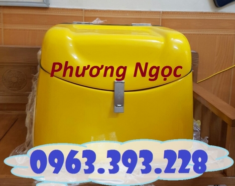 Thùng giao hàng trung 2, thùng chở hàng có mút cách nhiệt, thùng chở hàng nhựa composite